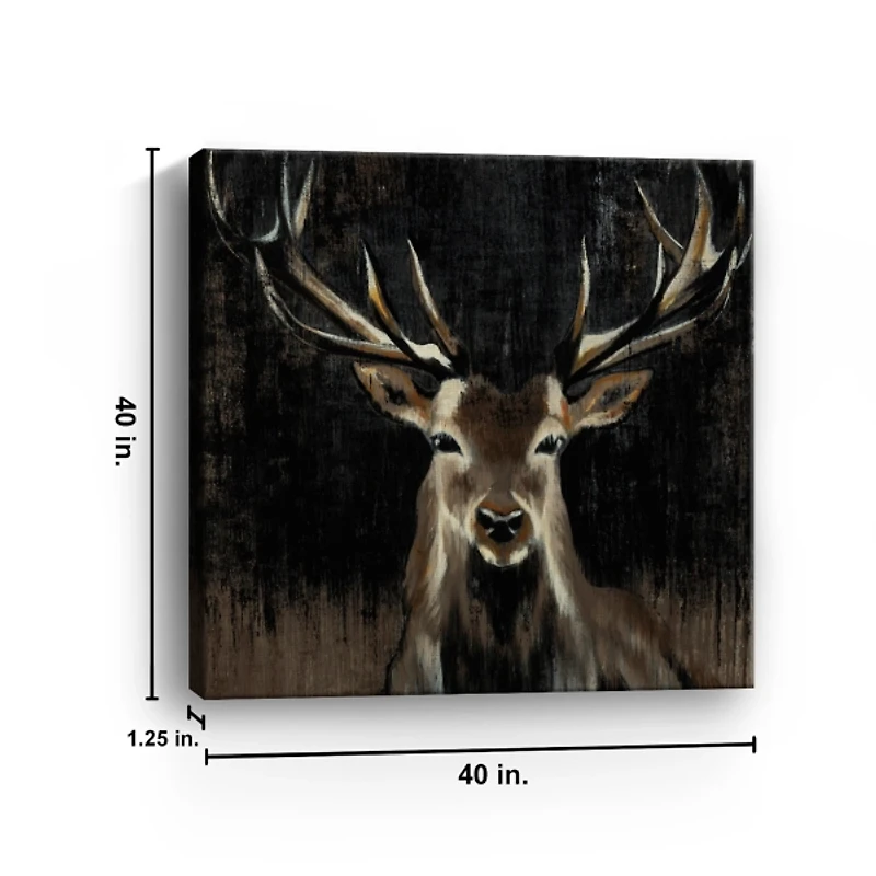 Young Buck Giclee Canvas Art Print, 40x40 in.