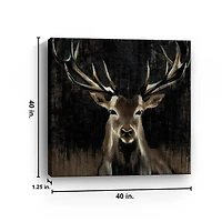 Young Buck Giclee Canvas Art Print, 40x40 in.