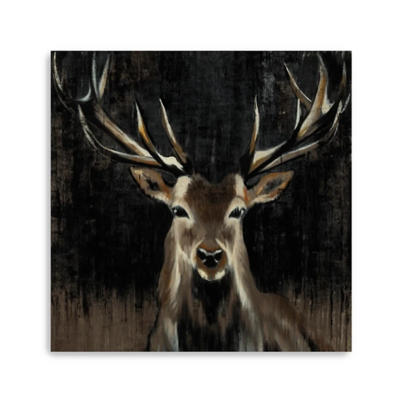 Young Buck Giclee Canvas Art Print, 40x40 in.