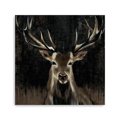 Young Buck Giclee Canvas Art Print, 40x40 in.