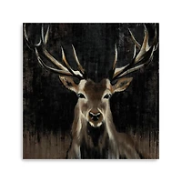 Young Buck Giclee Canvas Art Print, 40x40 in.