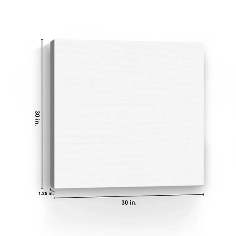 Gray Poppy Garden 2-pc. Canvas Art Set, 30x30 in.