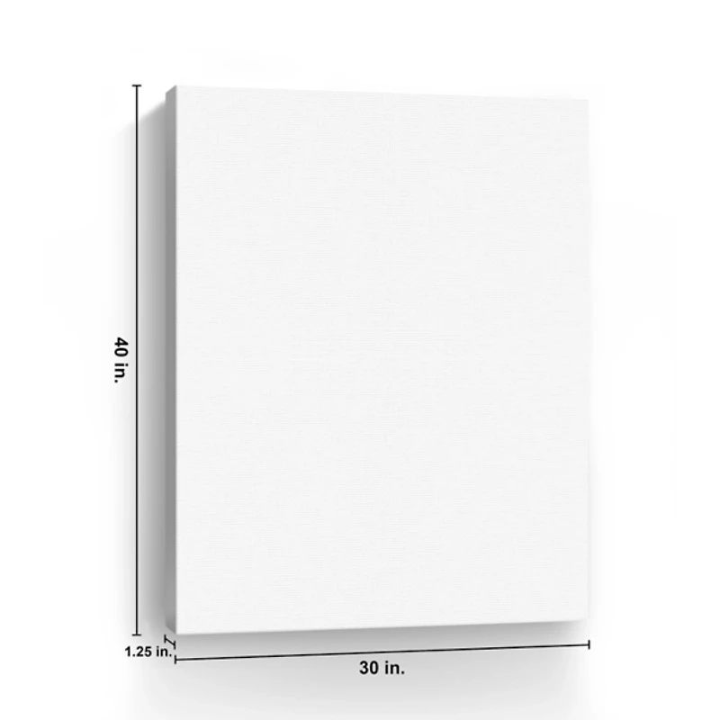 Rome 2-pc. Giclee Canvas Art Print Set, 30x40 in.