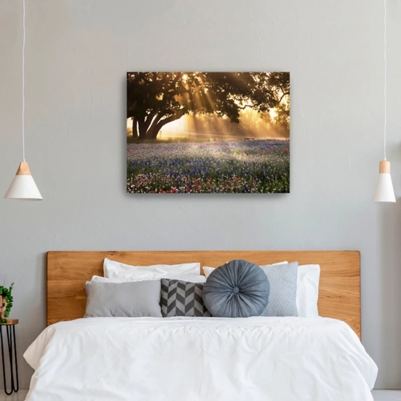 Morning Meadow Giclee Canvas Art Print, 40x30 in.
