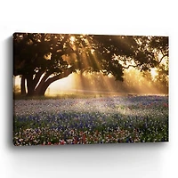 Morning Meadow Giclee Canvas Art Print, 40x30 in.