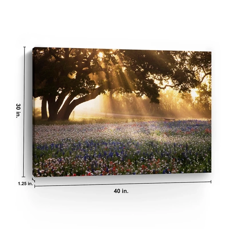 Morning Meadow Giclee Canvas Art Print, 40x30 in.