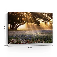 Morning Meadow Giclee Canvas Art Print, 40x30 in.