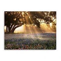 Morning Meadow Giclee Canvas Art Print, 40x30 in.