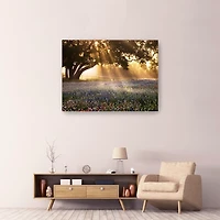 Morning Meadow Giclee Canvas Art Print, 48x36 in.