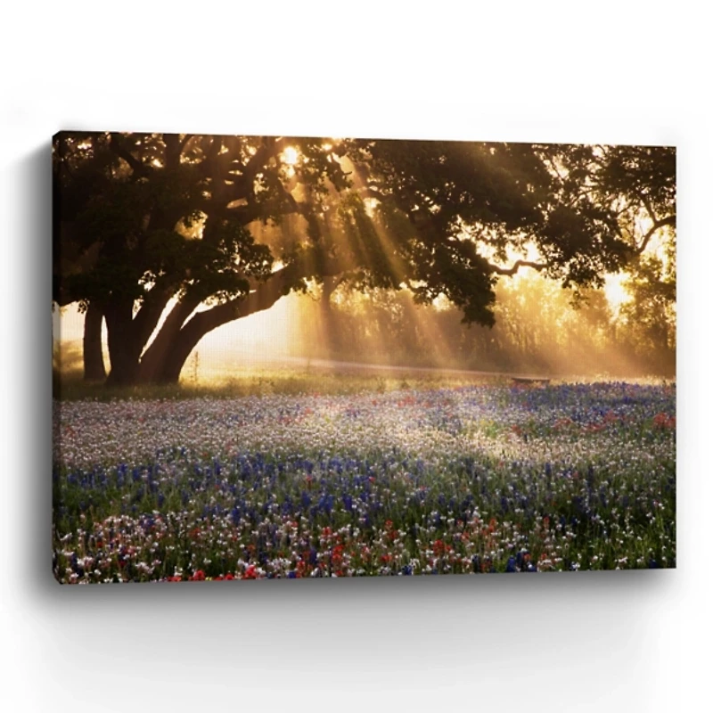 Morning Meadow Giclee Canvas Art Print, 48x36 in.