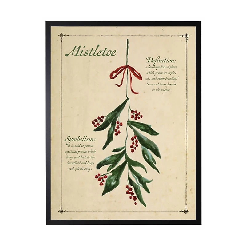 Mistletoe Definition Framed Christmas Art Print