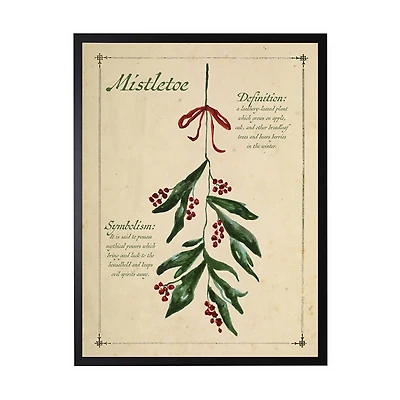 Mistletoe Definition Framed Christmas Art Print