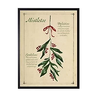 Mistletoe Definition Framed Christmas Art Print