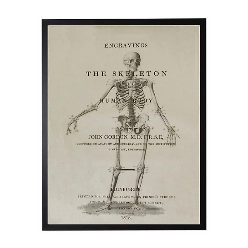 Skeleton Framed Halloween Wall Art