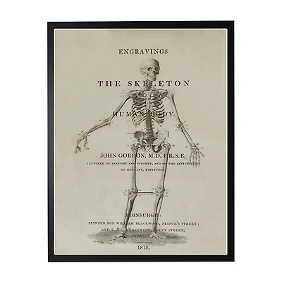 Skeleton Framed Halloween Wall Art