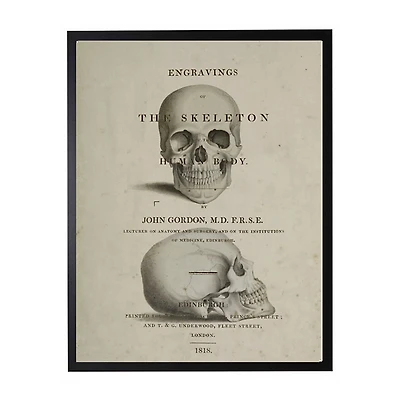 Vintage Skull Framed Halloween Wall Art
