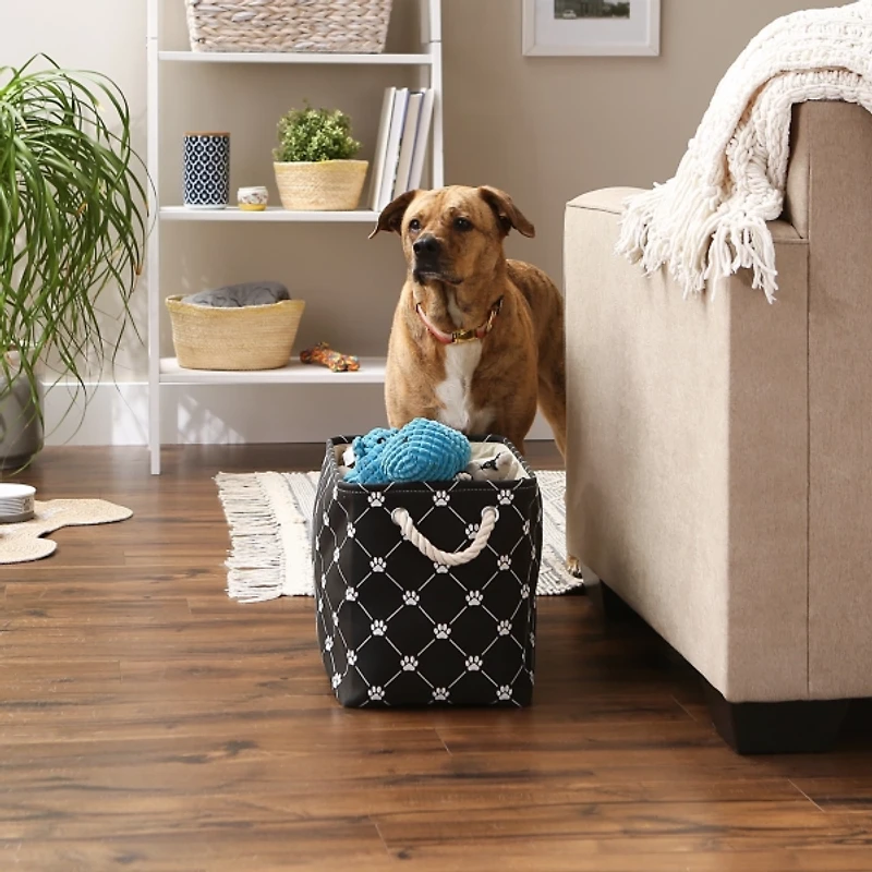 Black Paw Trellis Rectangle Basket, 16 in.