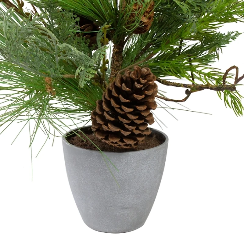 Mixed Pine Potted Christmas Tree