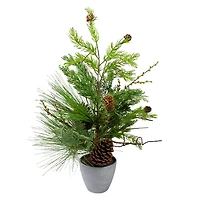 Mixed Pine Potted Christmas Tree