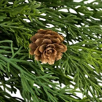 Cedar Branch and Pinecone Wreath