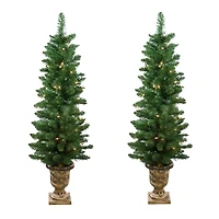 4 ft. Lit Whitmire Pine Christmas Trees, Set of 2