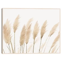 Pampas Canvas Art Print