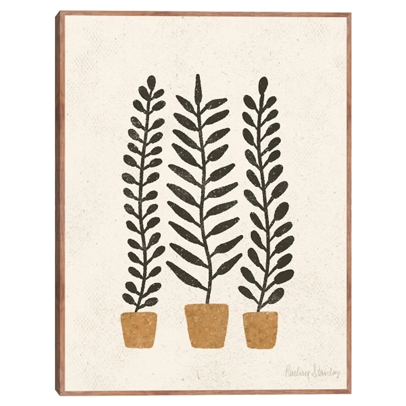 Black Potted Ferns Framed Canvas Art Print