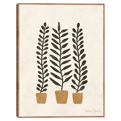Black Potted Ferns Framed Canvas Art Print