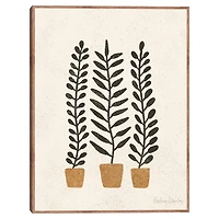 Black Potted Ferns Framed Canvas Art Print
