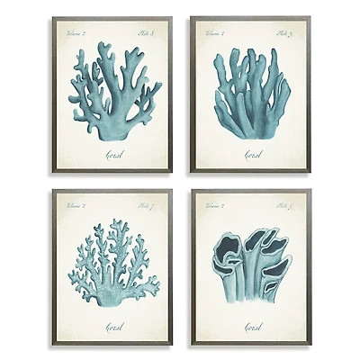 Watercolor Coral Gray Framed Art Prints, Set of 4