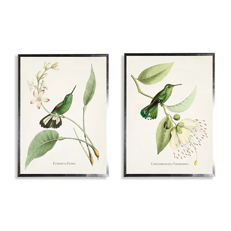 Hummingbirds on Flowers 2-pc. Framed Art Print Set