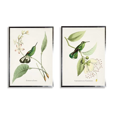 Hummingbirds on Flowers 2-pc. Framed Art Print Set