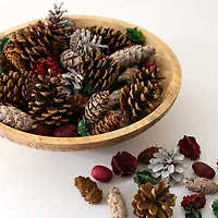 Grand Pine Cone Potpourri