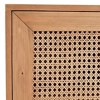 Reclaimed Pine and Woven Cane Cabinet