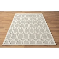 Gray Raised Honeycomb Indoor/Outdoor Area Rug, 7x9