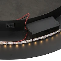 Drew II Black and Gold Round LED Mirror
