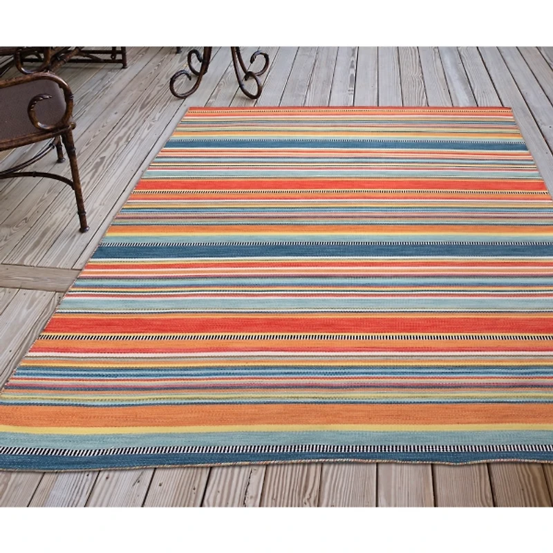 Multi Dhurri Stripe Indoor/Outdoor Area Rug, 5x7