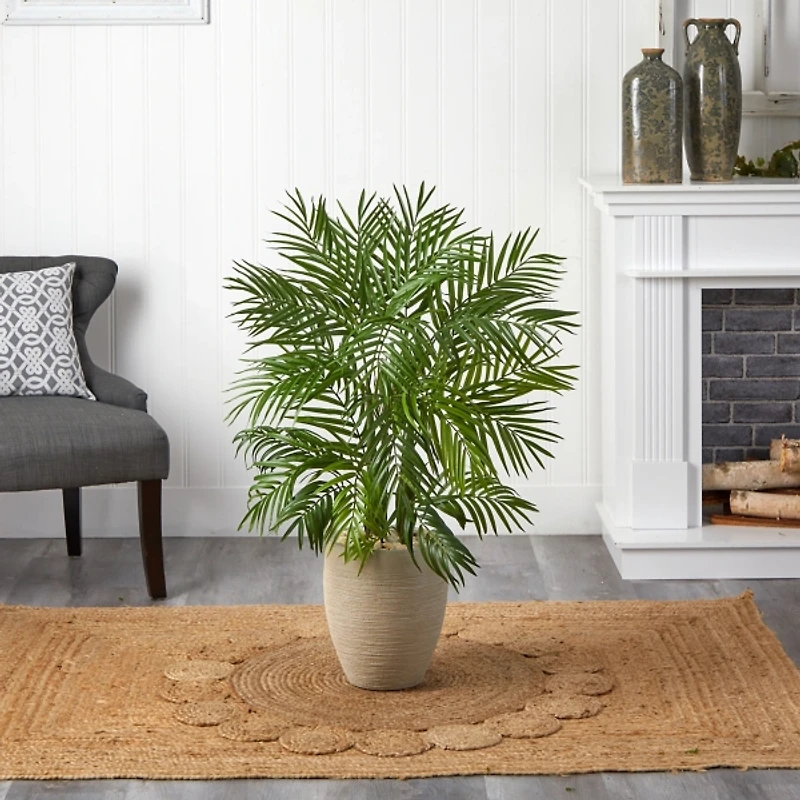 Areca Palm Tree in Sandy Planter