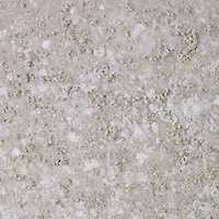 Natural Essence Canvas Art Prints, Set of 5