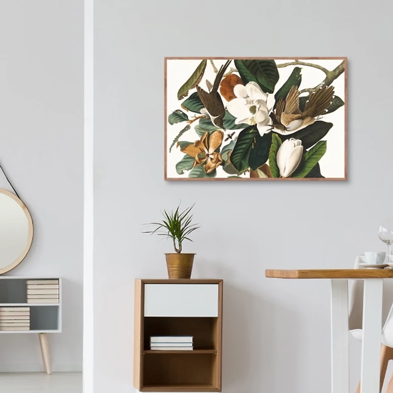 Black Billed Cuckoo Framed Canvas Art Print