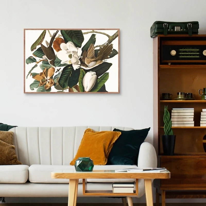 Black Billed Cuckoo Framed Canvas Art Print