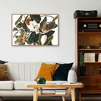 Black Billed Cuckoo Framed Canvas Art Print