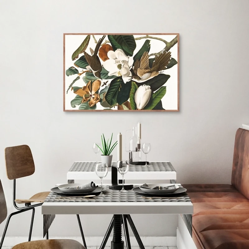 Black Billed Cuckoo Framed Canvas Art Print