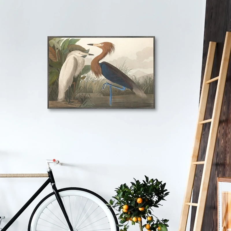 Purple Heron Framed Canvas Art Print