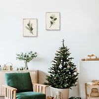 Botanical Pine Spruce Canvas Art Prints, Set of 2