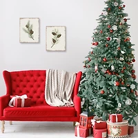 Botanical Pine Spruce Canvas Art Prints, Set of 2