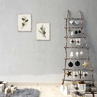 Botanical Pine Spruce Canvas Art Prints, Set of 2