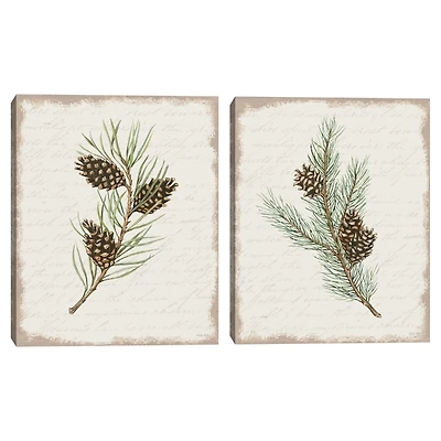 Botanical Pine Spruce Canvas Art Prints, Set of 2