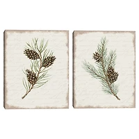 Botanical Pine Spruce Canvas Art Prints, Set of 2