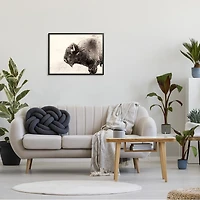 Shaggy Buffalo Black Framed Canvas Art Print